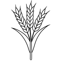 Minimalist Wheat Plant Vector online art White Background
