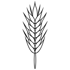 Minimalist Wheat Plant Vector online art White Background