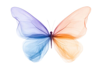 Fototapeta premium A colorful butterfly with delicate, translucent wings showcasing shades of blue, orange, and purple, symbolizing beauty and transformation.