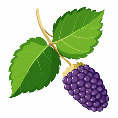 Obraz premium Single Blackberry with Green Leaves on a Stem