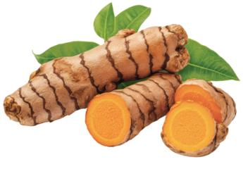 Fresh turmeric root with vibrant orange slices surrounded by green leaves, ideal for cooking, herbal remedies, and health supplements. Transparent background PNG