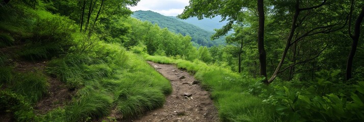 Fototapeta premium A rugged path weaves through lush greenery, leading towards distant mountains under a partly cloudy sky.