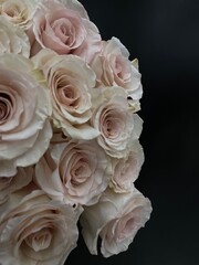 dusty rose, dozen rose bouquet on black 