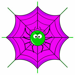 Fototapeta premium Green spider on a vibrant purple web, isolated on white