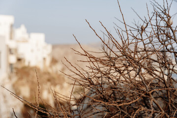 Obraz premium Dried Mediterranean Bush in Sharp Focus with Traditional Whitewashed Houses in Folegandros, Greece