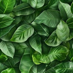 Fototapeta premium background pattern of fresh green natural leaves