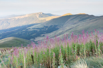 Fototapeta premium Sunrise at the Stara Planina mountains, Serbia