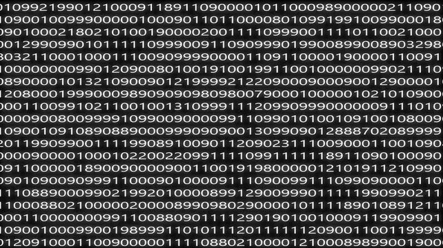 Abstract binary code background digits moving on the screen. Data, code, decryption and encoding concepts. Digital wall background with white numbers. 
