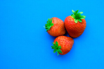 red ripe strawberries on a blue background