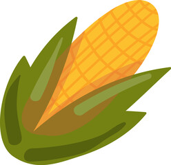 Ripe cob of sweet corn in green leaves. Autumn harvest, preparing food for winter. Simple color cozy illustration. Hand drawn cartoon vector isolated on white background