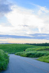 夕暮れ時の道　阿蘇の大自然