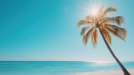 Obraz premium Tropical sun shining brightly over a palm-lined beach, warm weather, summer vibes