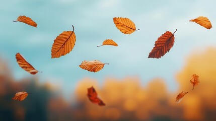 Crisp autumn day with leaves swirling in the wind, cool weather, fall colors