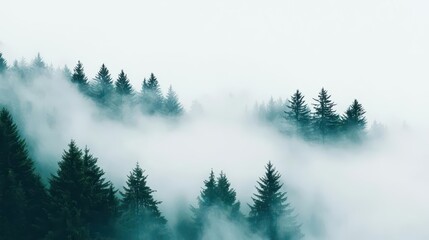 Fog rolling through a mountain pass, foggy weather, mysterious and silent