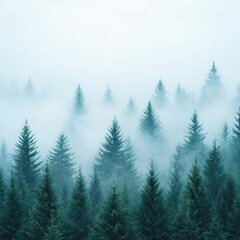Fototapeta premium Morning mist rolling through a dense forest, foggy weather, mysterious ambiance