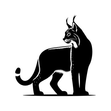 recommend clip art: Lynx silhouette, vector black color silhouette