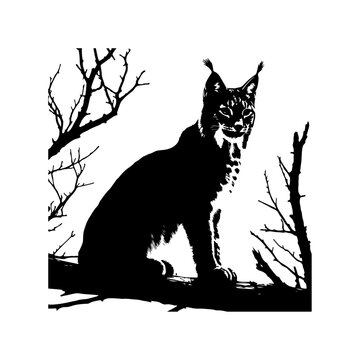 recommend clip art: Lynx silhouette, vector black color silhouette