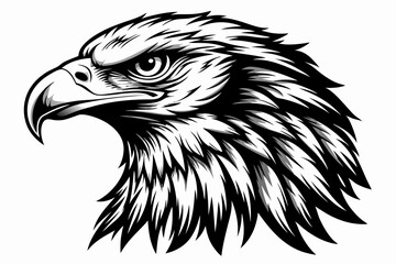 Eagle head silhouette vector illustration, head stylized logo