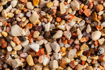 Wet colorful pebbles, natural background