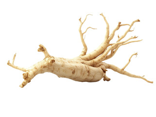 Fototapeta premium The ginseng root displays its unique, twisted branches and organic textures, emphasizing its natural shape and earthy qualities. Transparent background PNG