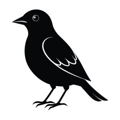 Fototapeta premium Bird Silhouette in flat background. Black Bird Icon. Bird Head Silhouette. Birds Collections. Set Of Birds Silhouette.