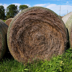 Closeup of one round bales of hay in a grassy field