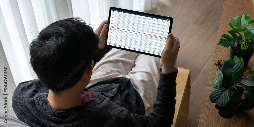 Poster accounting software on computer screen showing financial statement spreadsheets and account balance 
