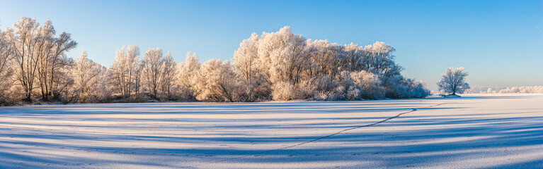 Winter in The Netherlands; frost covered trees cast long shadows on a frozen lake in the floodplain of the river Rhine