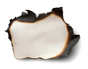 Fototapeta premium vector realistic isolated burnt paper list decoration display white background