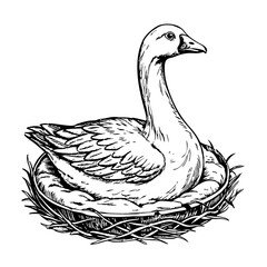 Goose sitting on a nest, detailed line sketch