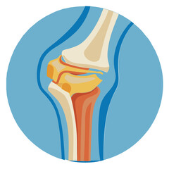 Knee Joint icon vector 