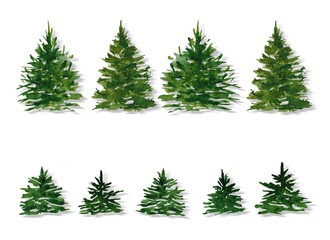 Obraz premium Set of isolated watercolor green Christmas trees hand drawn White background