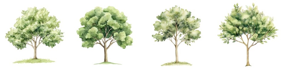 A watercolor tree symbol, stability and growth, earthy greens, isolated on white background