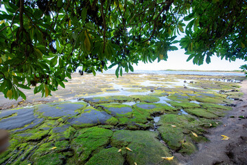 Naklejka premium Fishing ponds at Kaloko-Honokohau National Historic Park at Kailua-Kona on the Big Island in Hawaii
