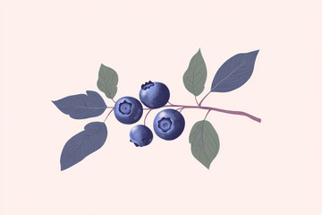 A minimalist illustration of a blueberry branch with detailed leaves and berries, set against a light pastel background, showcasing botanical art.

