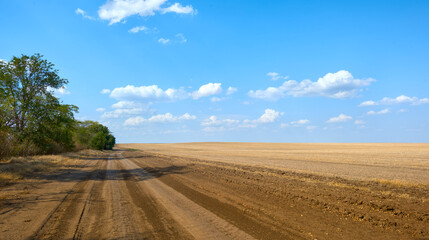 Fototapeta premium A dirt road along the edge of a field on a clear summer day. A bare field after harvesting.