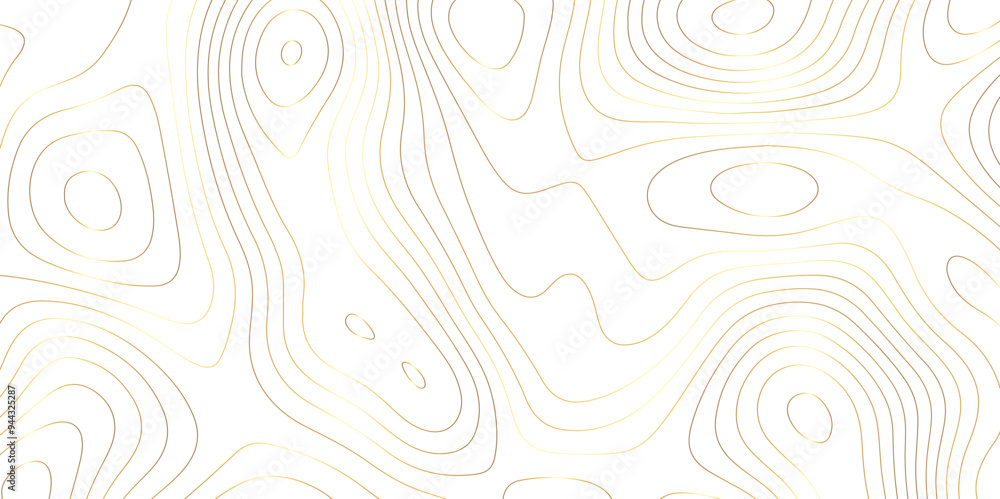 Wall mural vectorized topology: abstract representations of contours and map textures