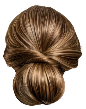 recommend clip art: PNG Elegant brown hair bun