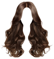 PNG Long wavy brown hair