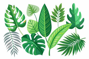 Tropical leaves collection. Vector isolated elements
