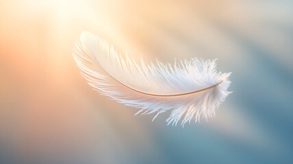 Naklejka premium A feather floating mid-air with delicate light beams emanating from it, symbolizing lightness and creativity of thought, captured in soft focus against a plain, blurred background.