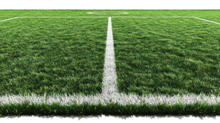 astro turf floor clipart on transparency background PNG