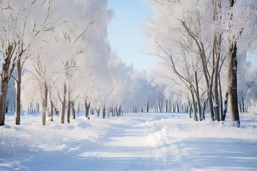 Snow-covered trees on both sides of the road in a winter forest on a sunny day