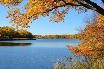 Fototapeta premium Minneapolis Lake. Tranquil Autumn Landscape with Lake and Trees Reflecting Fall Colors