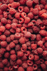 Freshly Picked Wild Raspberries - Vibrant and Organic Harvest of Nature's Sweet Bounty
