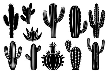 various cactus black silhouette vector ,monochrome, Silhouette design, flat design