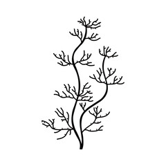 Seaweed silhouette vector illustration with intricate branches