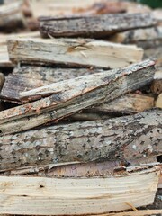 Closeup of Stacked Firewood Logs with Natural Bark Texture for Winter Heating