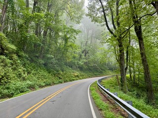 Driving through the woods at a in the Pisgah National Forest near Marion, North Carolina USA