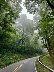 Driving through the woods at a in the Pisgah National Forest near Marion, North Carolina USA
